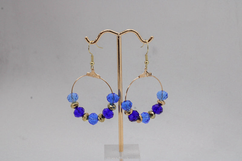 Double Blue & Gold Earrings
